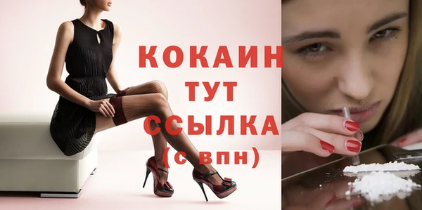 гашик Белокуриха