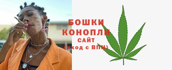 гашик Белокуриха