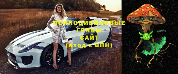 прущие крисы Беломорск