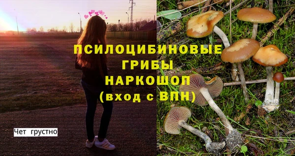 прущие крисы Беломорск