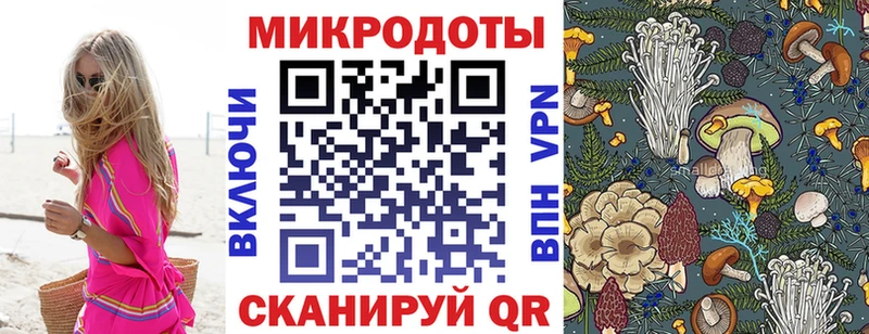 Галлюциногенные грибы Cubensis  что такое   Юрьев-Польский 